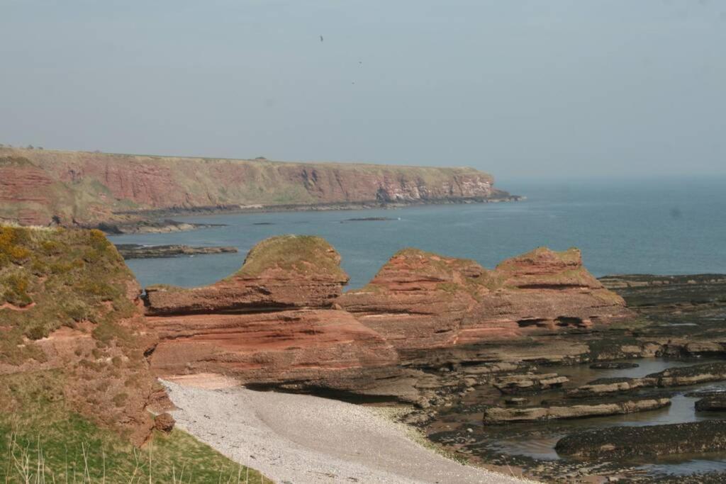 Bell Rock View Arbroath Daire Angus Dış mekan fotoğraf