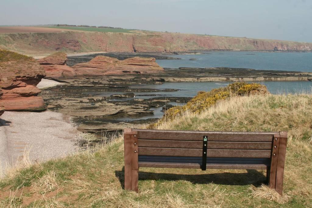 Bell Rock View Arbroath Daire Angus Dış mekan fotoğraf