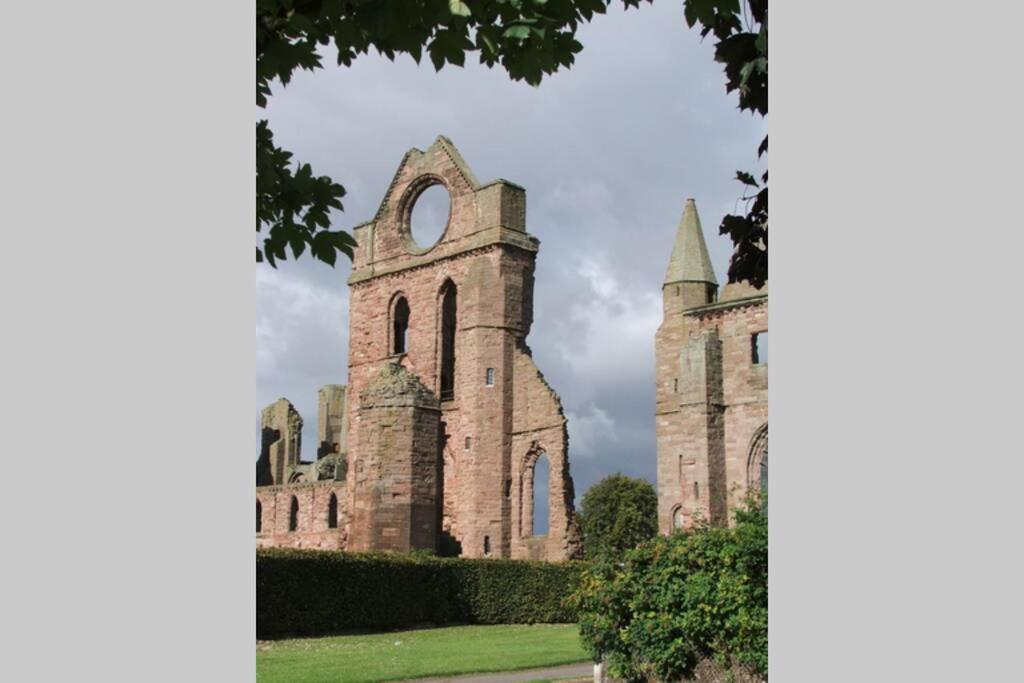 Bell Rock View Arbroath Daire Angus Dış mekan fotoğraf