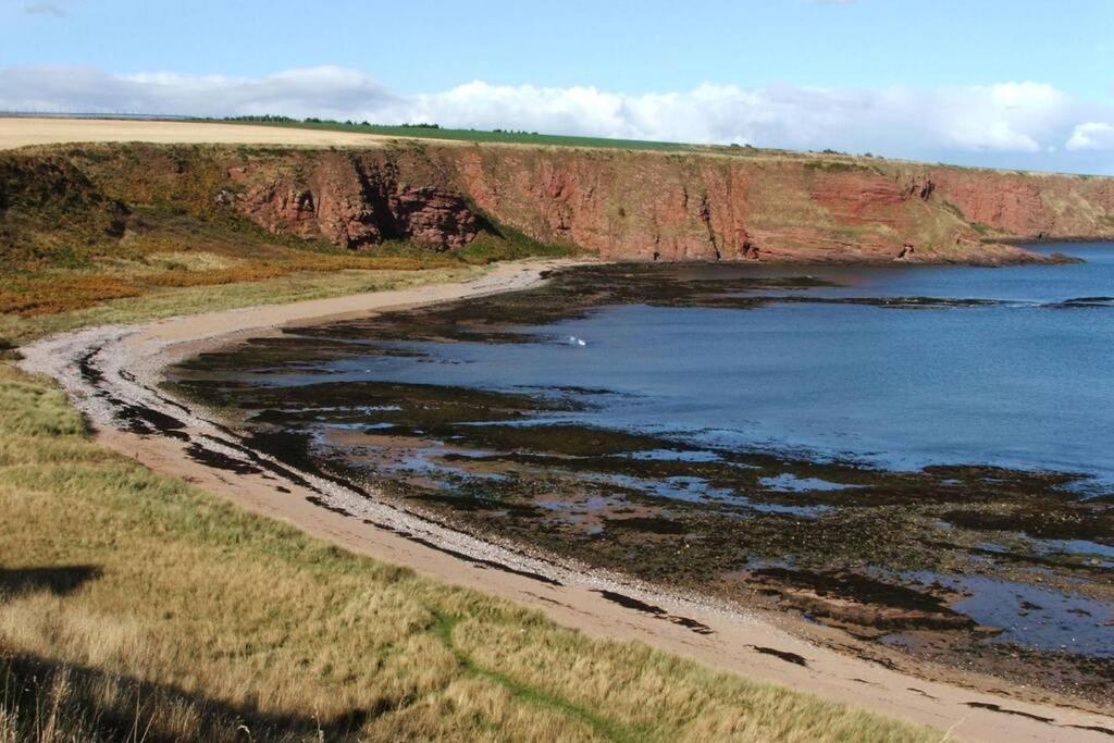 Bell Rock View Arbroath Daire Angus Dış mekan fotoğraf